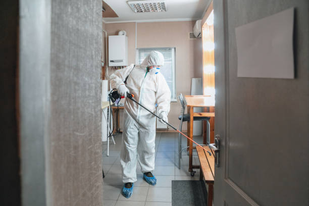 Professional Mold Removal in Ferndale, CA