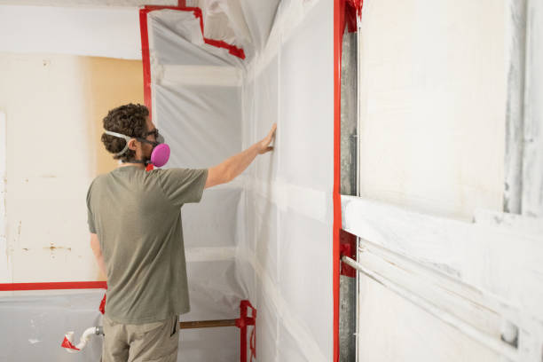 Best Mold Odor Removal Services  in Ferndale, CA