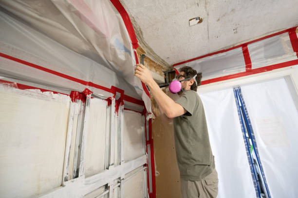 Best Post-Construction Mold Inspection  in Ferndale, CA