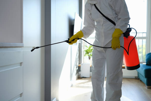 Best HVAC Mold Inspection and Cleaning  in Ferndale, CA
