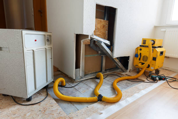 Best Mold Remediation for Vacation Homes  in Ferndale, CA