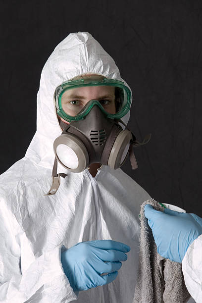 Best Emergency Mold Remediation  in Ferndale, CA
